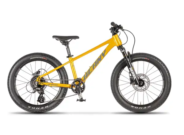 Beany Blaster 20 children's bike Gold