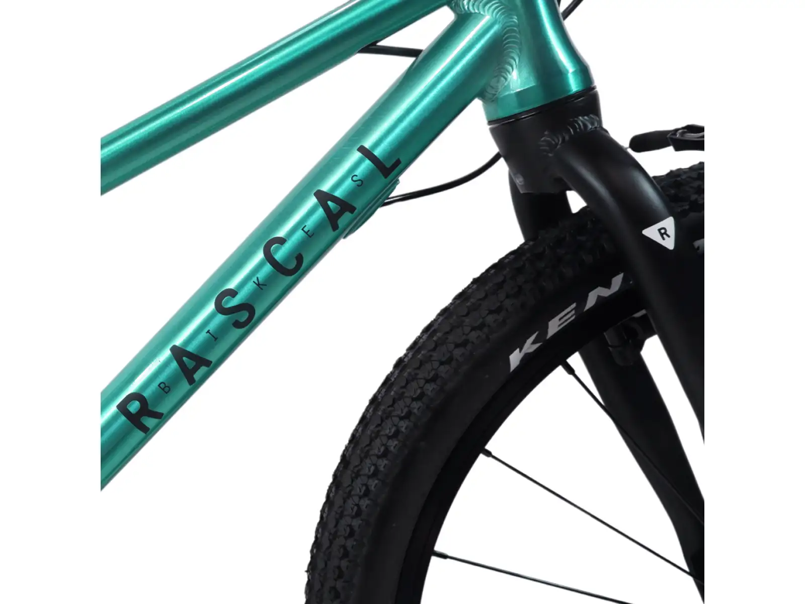 Rascal 20 Limited kids bike Emerald
