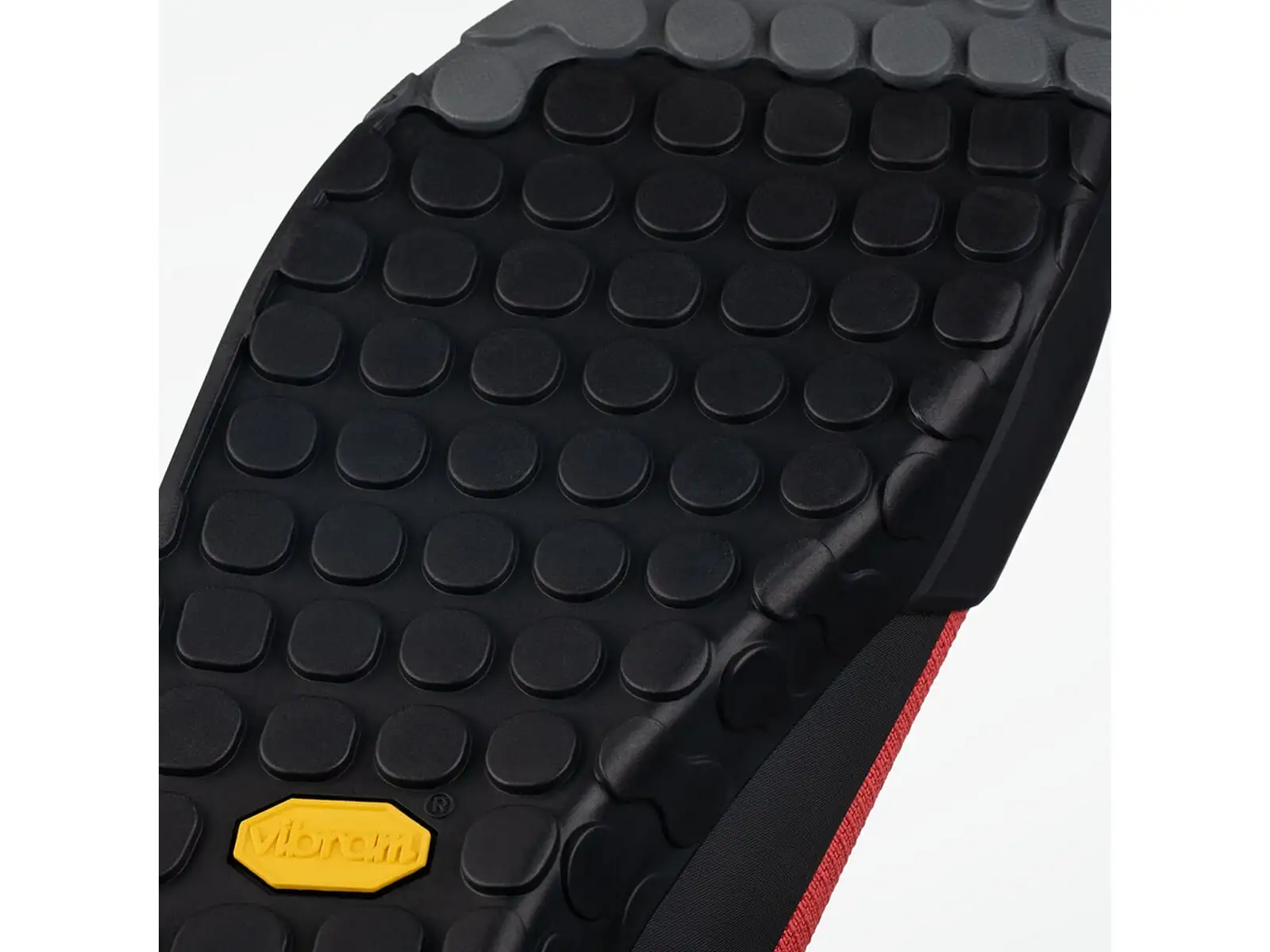 Fizik Gravita Tensor Flat men's shoes Red/Black