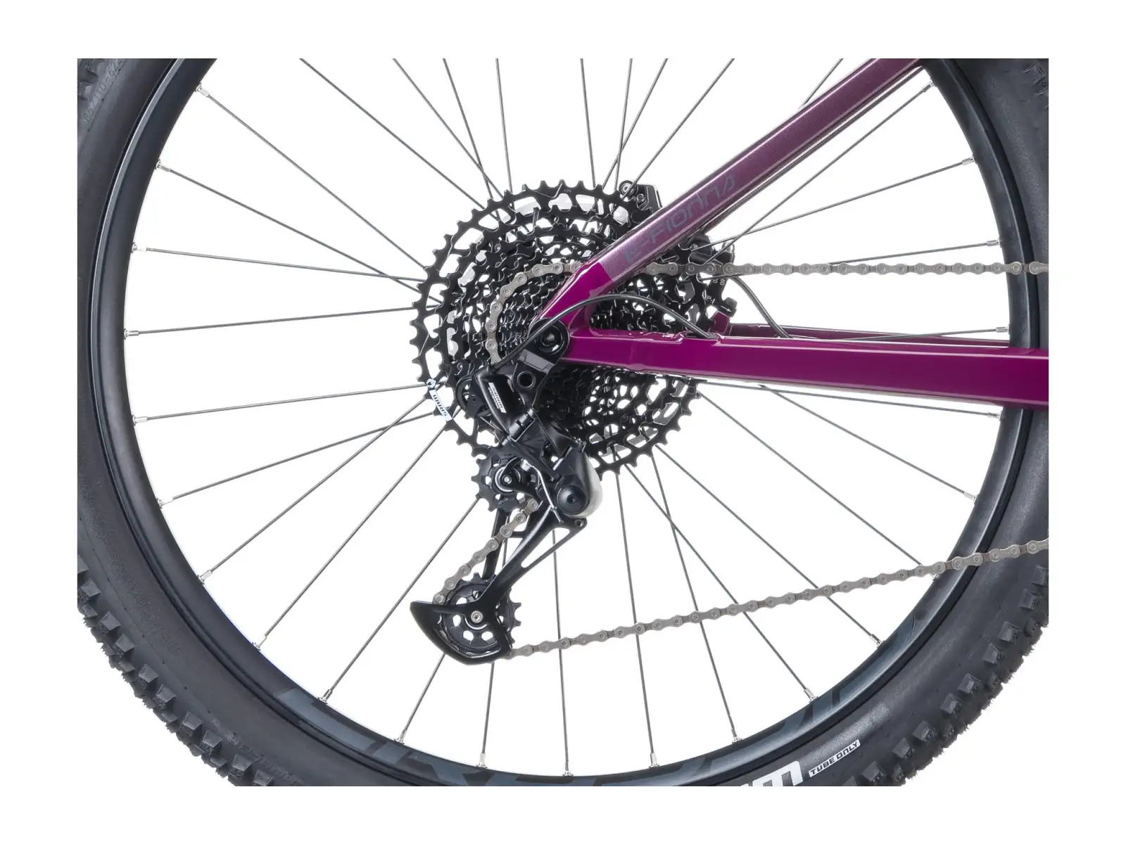 Crussis e-Fionna AX 9.12-M2(800) mountain e-bike