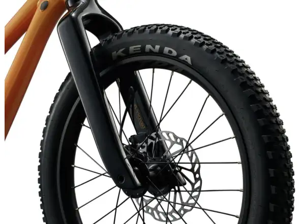 Giant STP 20 kids mountain bike Metallic Orange