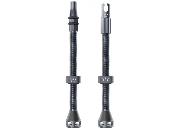 Peatys Holeshot Fast Flow tubeless valves 80 mm Slate
