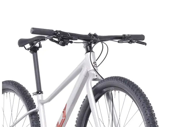 Superior F.L.Y. 27 kids bike Matte Silver
