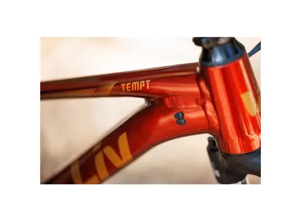 Giant Tempt 2 XS mountain bike Mars Dust