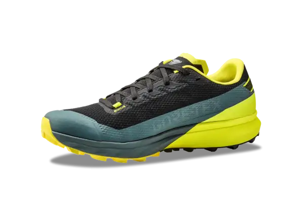 Dynafit Ultra GTX men's running shoes Hurricane/Black Out