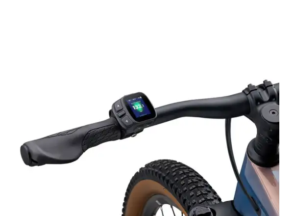 Liv Tempt E+ BOX mountain e-bike Lunar Eclipse