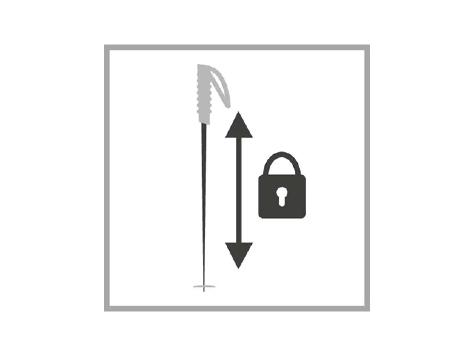 Dynafit Blacklight Pro Pole Nimbus