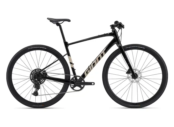 Giant FastRoad AR 1 fitness bike Panther