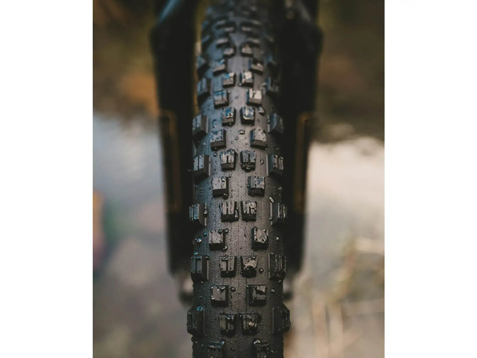 Goodyear Newton MTF Trail Tubeless Complete 27.5x2.50" MTB tire kevlar