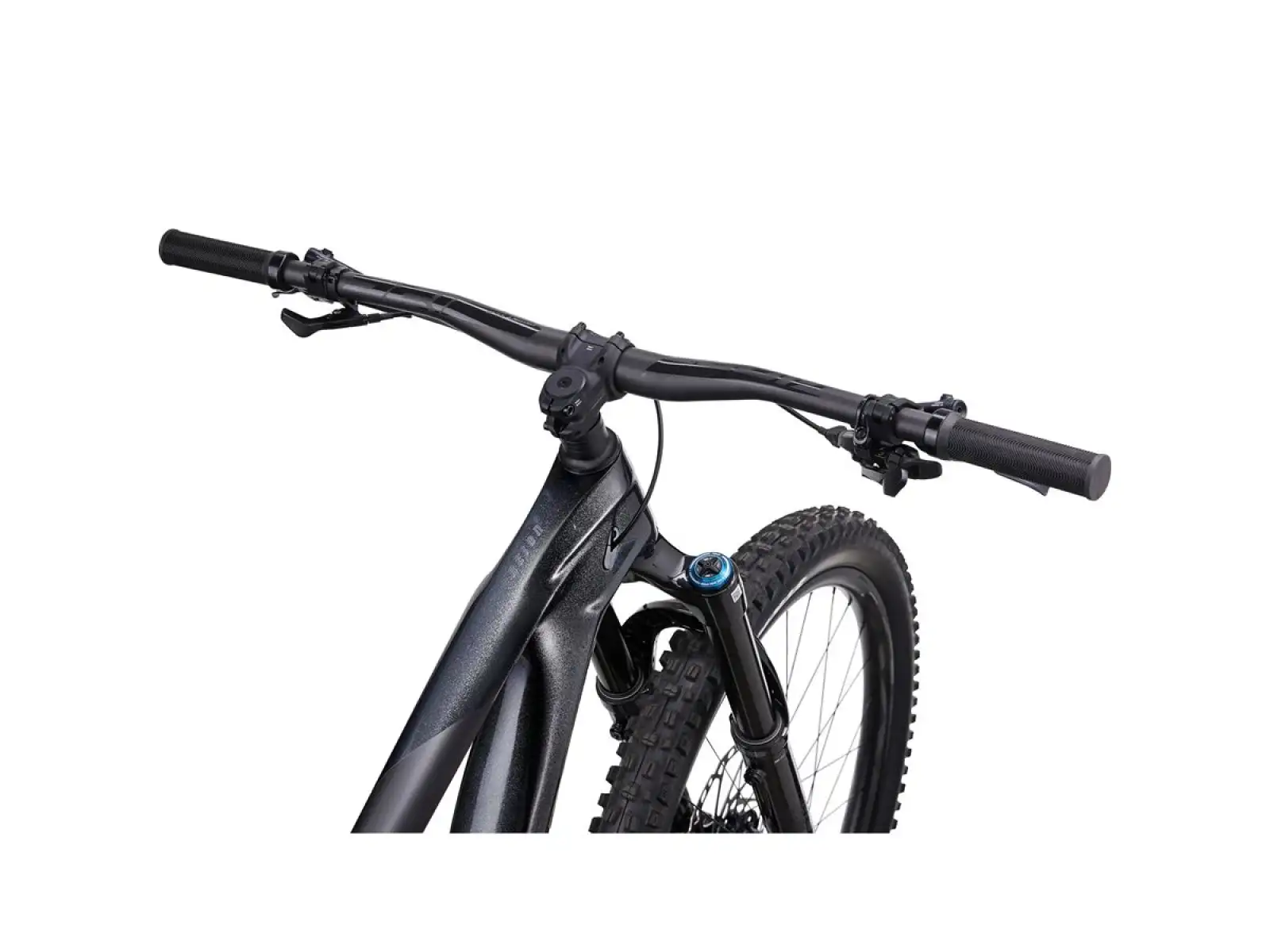 Giant Reign Advanced Pro 1 mountain bike black diamond/carbon