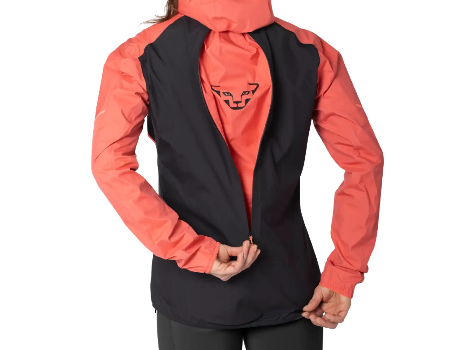 Dynafit Alpine 3 L women's running jacket Cabana