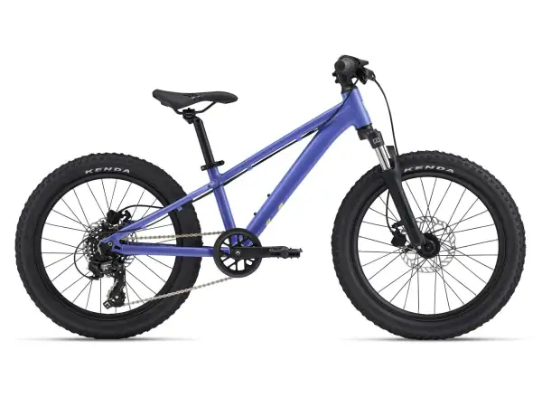 Giant STP 20 FS Liv children's bike Dusted Peri
