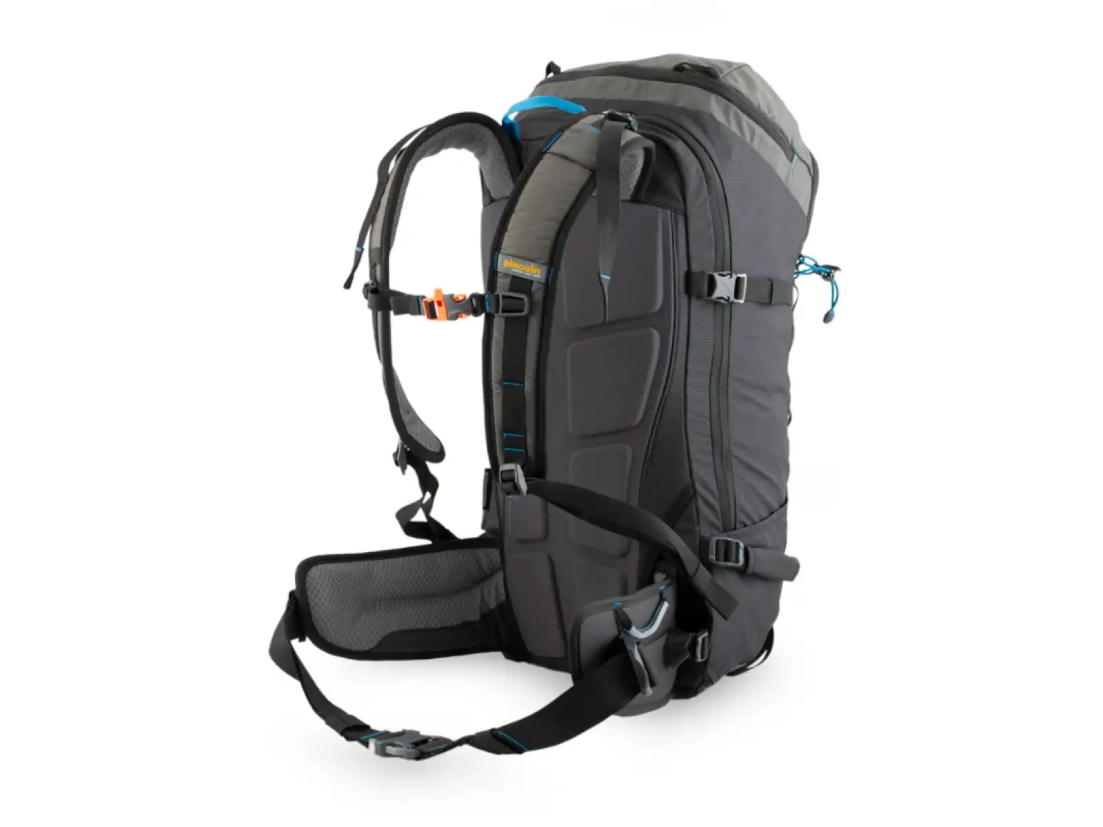 Pinguin Ridge 28 winter backpack Black