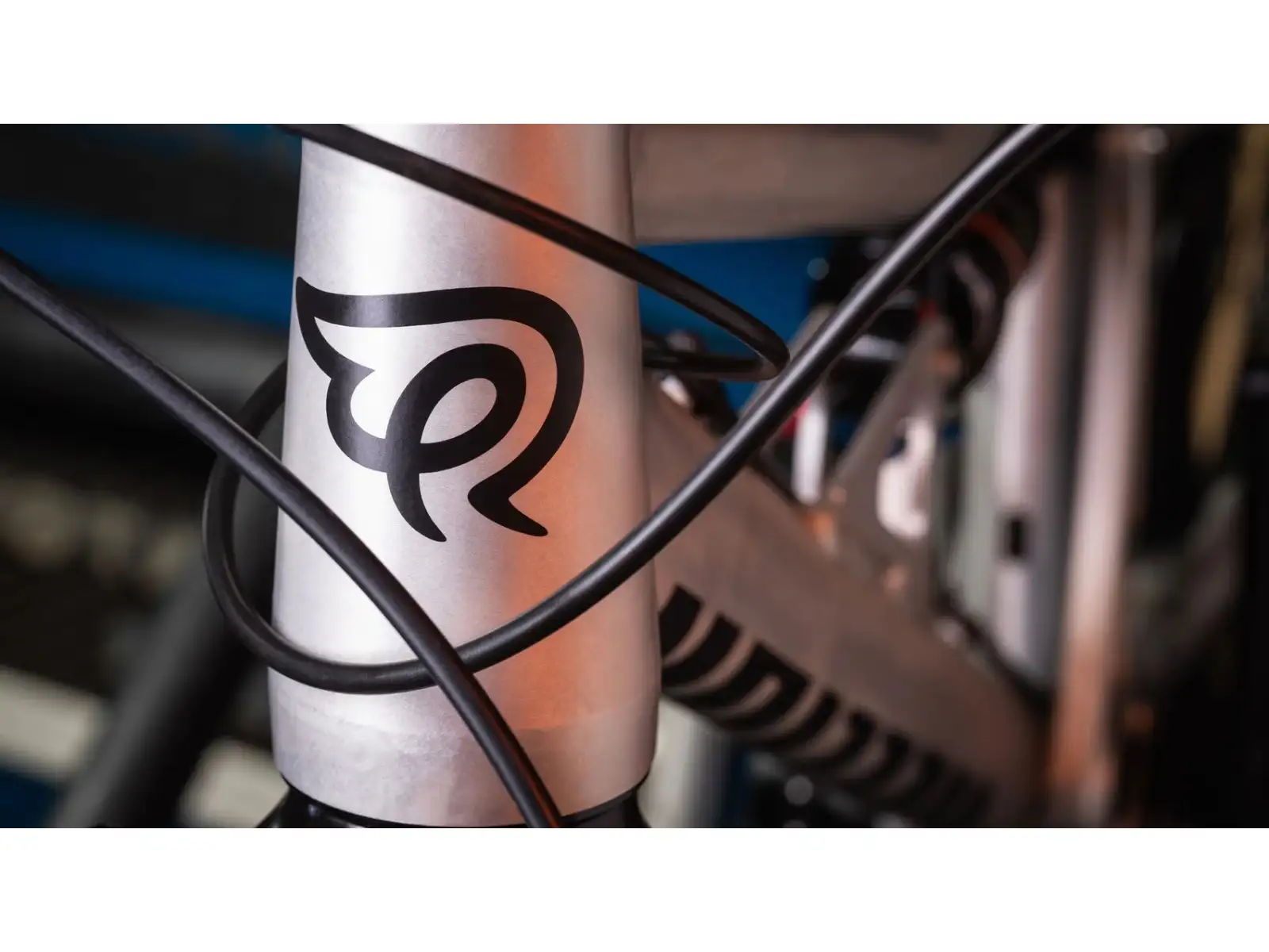 Early Rider Hellion X24 kids bike Raw