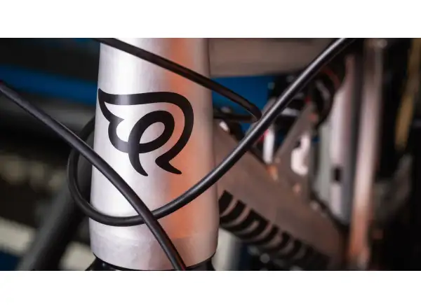 Early Rider Hellion X24 kids bike Raw