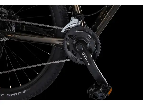 4Ever Frontbee XCM 29" mountain bike Gold galaxy
