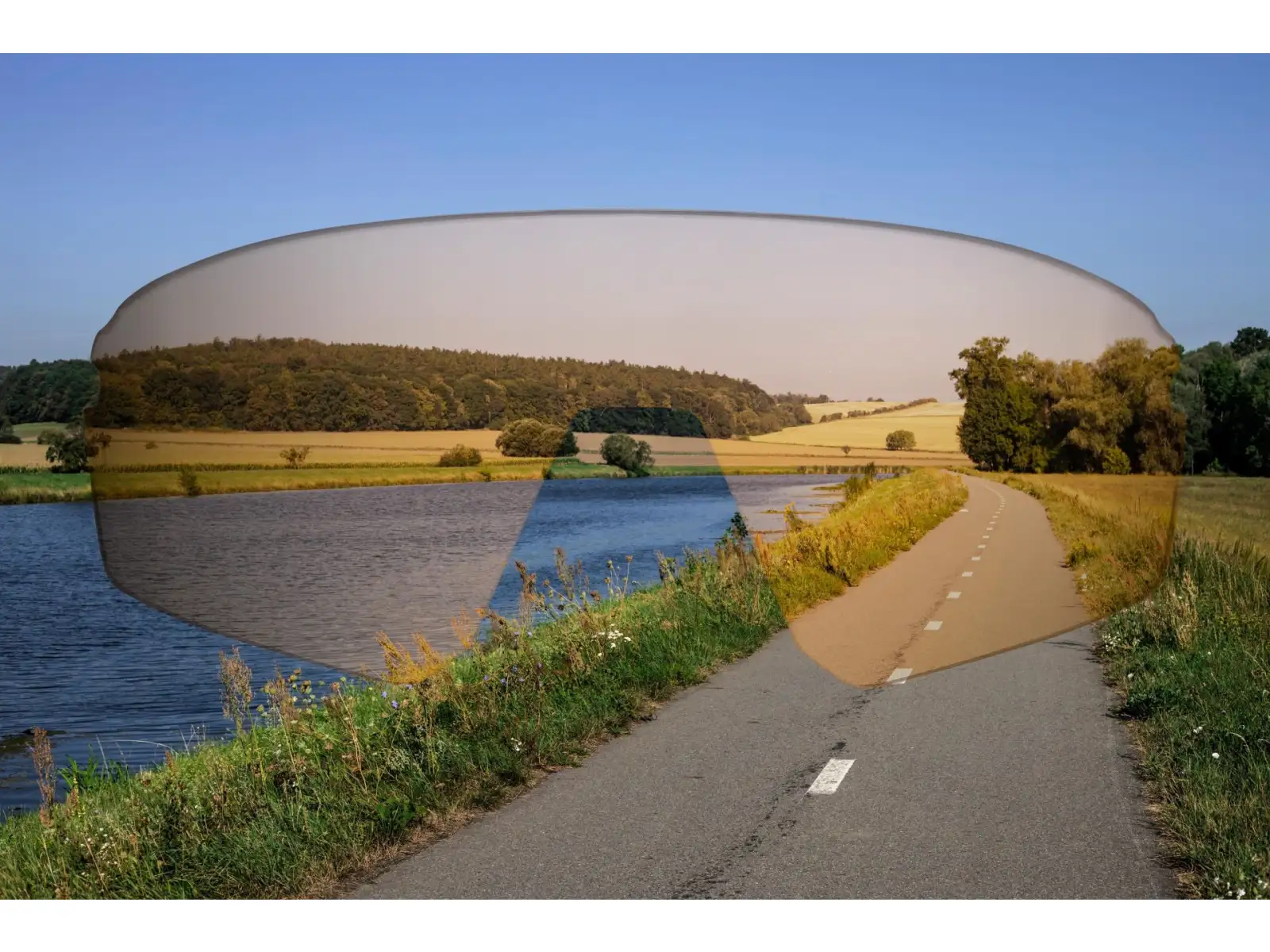 Force Mantra replacement lens mirrored gold