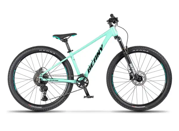 Beany Blaster 26 kids' bike Mint
