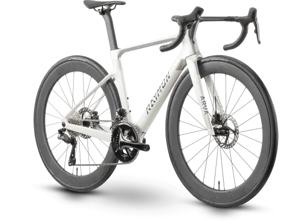 Raymon Arva Pro 24S Ultegra Di2 road bike starwhite/silver