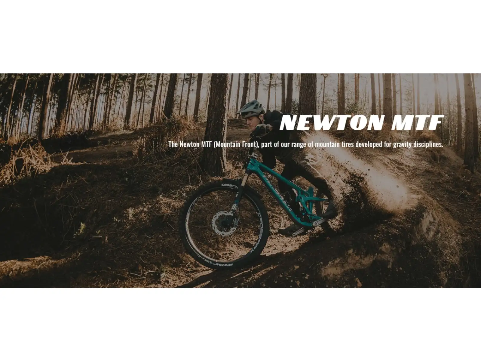 Goodyear Newton MTF Downhill Tubeless Complete 29x2,50" MTB tire kevlar