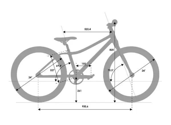 Rascal 24 3 sp. Shimano Nexus children's bike Titan