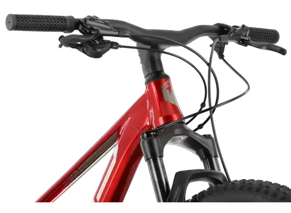 Superior Team 27 Issue Gloss Dark Red/Hologram Chrome children's bike
