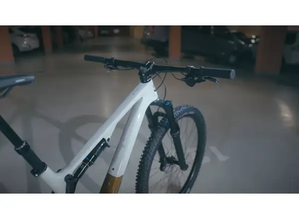 Superior XF 929 TR mountain bike Gloss Grey/Copper