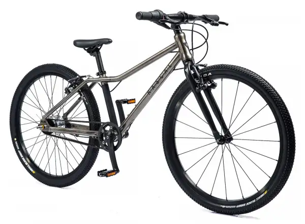 Rascal 26 7 sp. Shimano Nexus children's bike Titanium