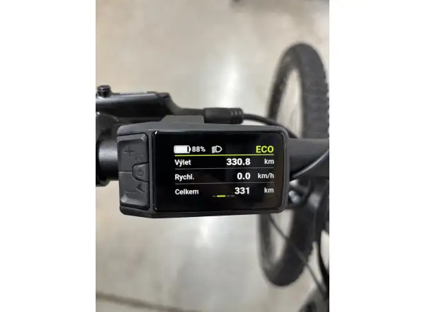 4EVER Esword Team 835 mountain e-bike Pearlized black/silver - Verified