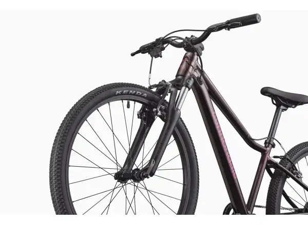 Cannondale Trail 24 kids bike Royal Purple