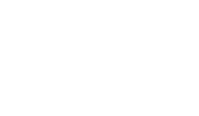 apidura