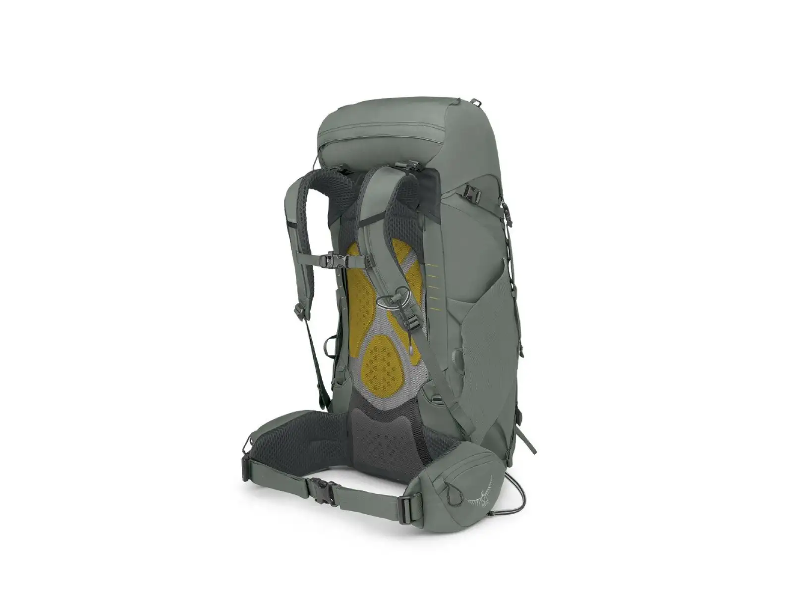 Osprey Kyte backpack 38 l Rocky brook green