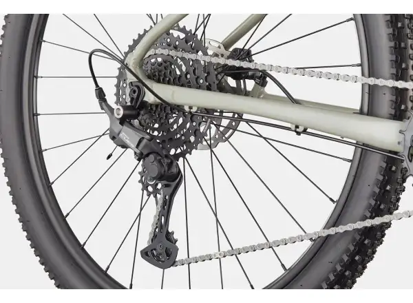 Cannondale Trail 1 29" mountain bike Tiger Shark
