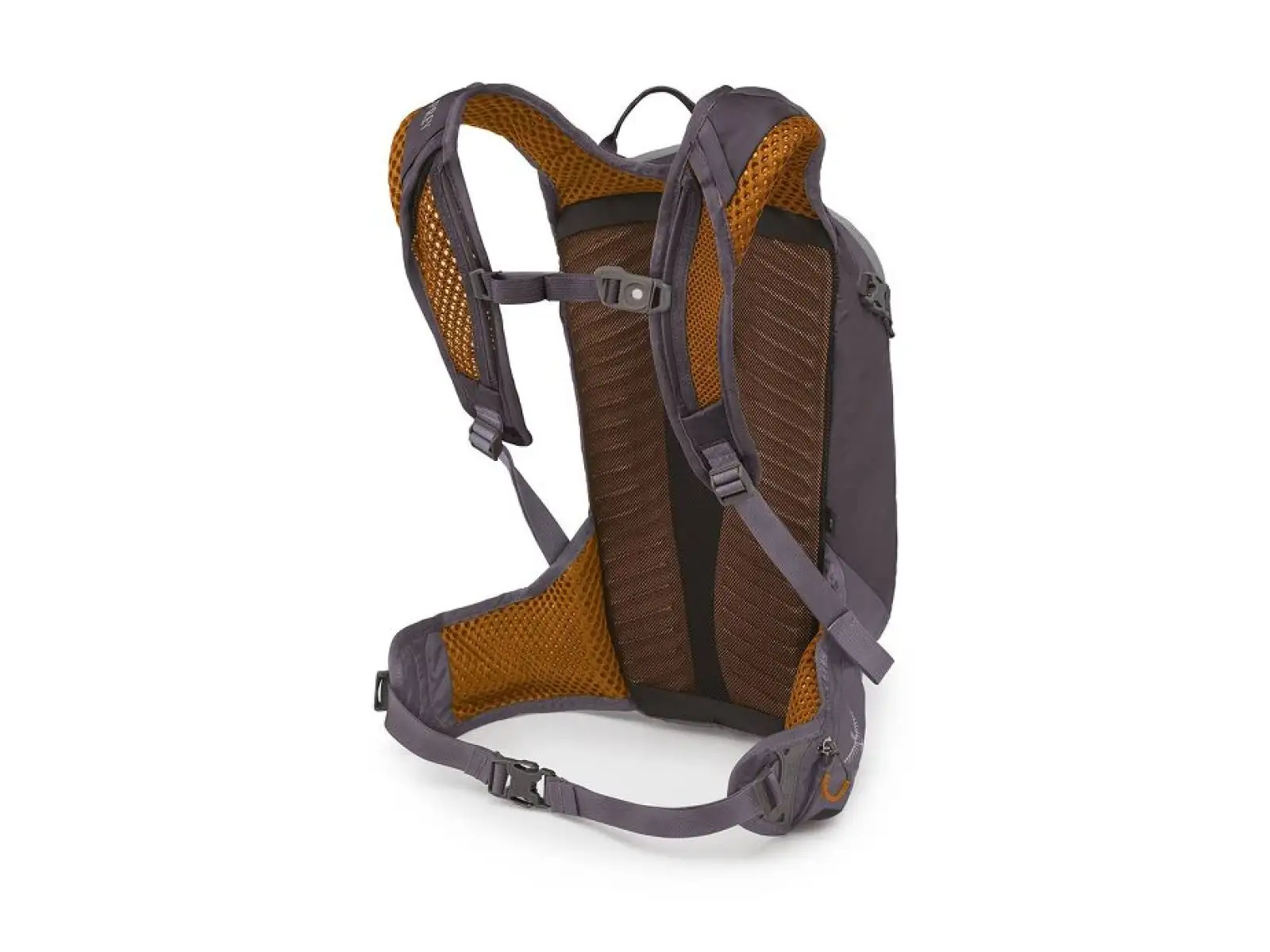Osprey Salida 12 Backpack + Hydration Pack Space Travel Grey
