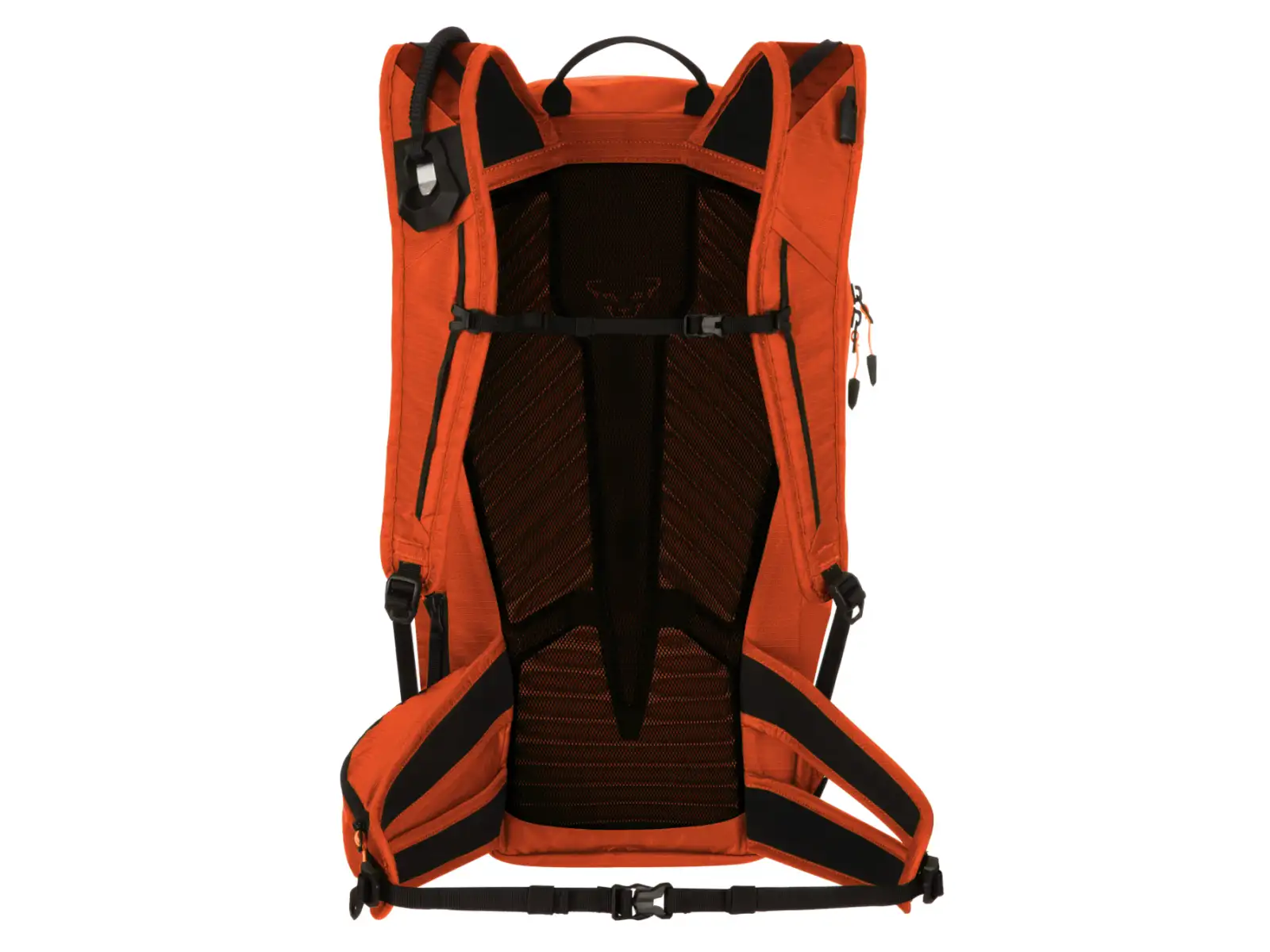 Dynafit Speed 24 ski touring backpack Alabama