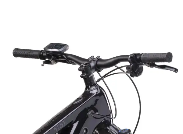 Crussis e-Fionna 10.10-L (900 Wh) mountain e-bike
