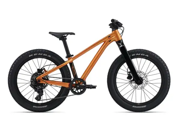 Giant STP 20 kids mountain bike Metallic Orange