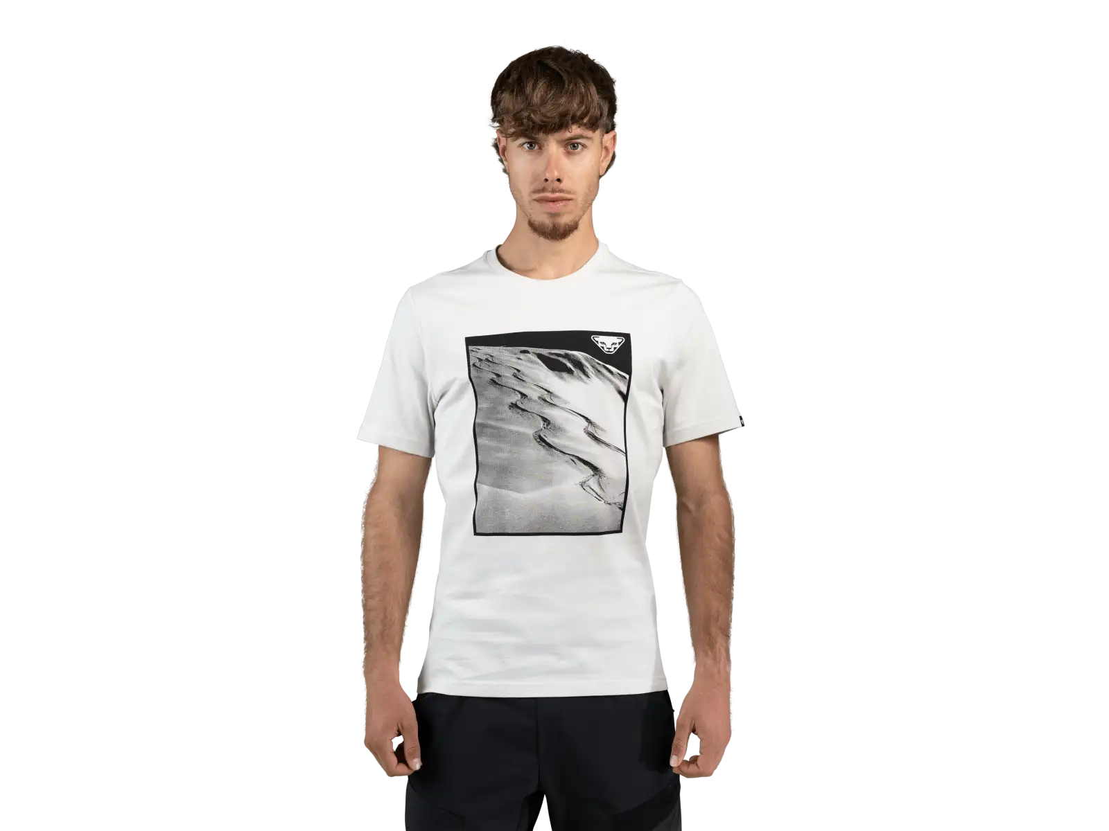 Dynafit Graphic Cotton men's T-shirt short sleeve Nimbus/First Track