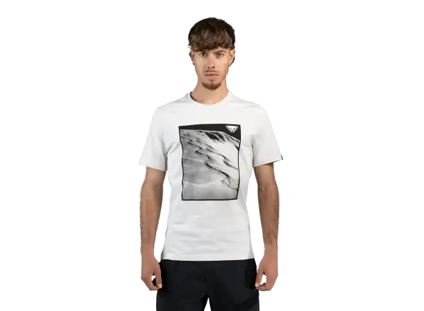 Dynafit Graphic Cotton men's T-shirt short sleeve Nimbus/First Track