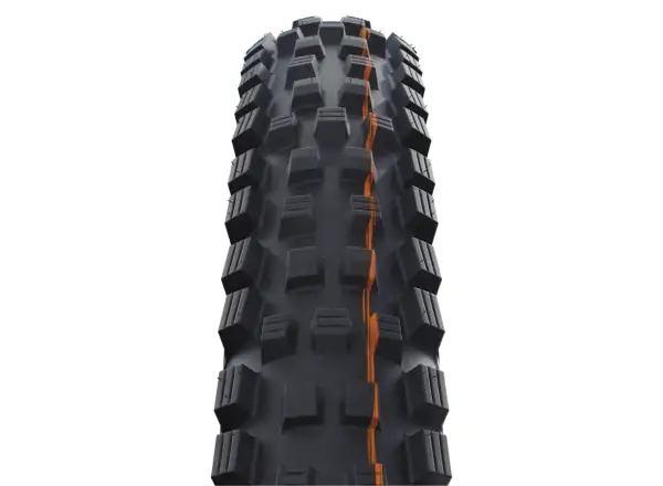 Schwalbe Magic Mary Trail TLR tire kevlar