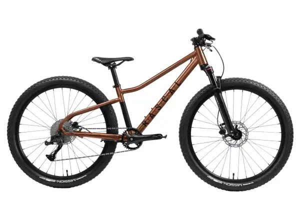 Rascal Wild 26 children's bike Bronze