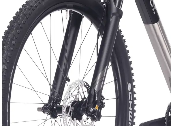 Superior XP 6.1 mountain bike Gloss Brush Alu/Black