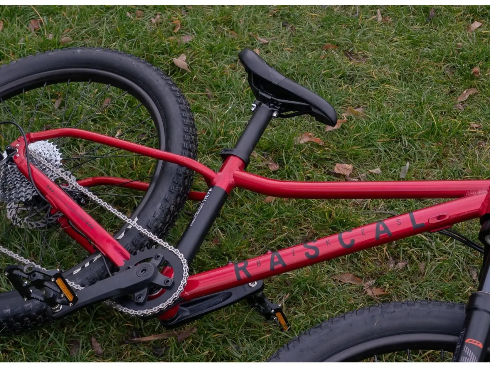 Rascal Wild 20 children's bike Ruby Red