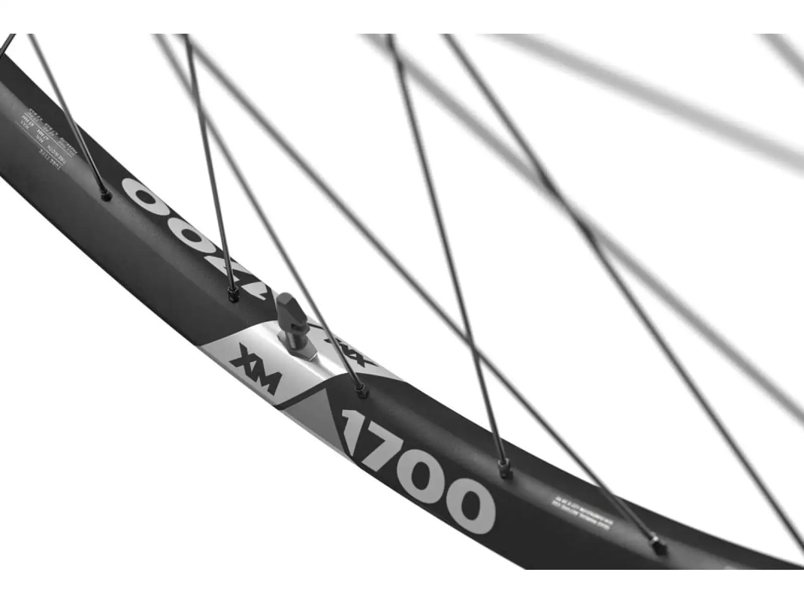 DT Swiss XM 1700 Spline Boost 29" wheelset