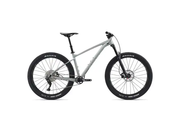 Giant Fathom 2 mountain bike concrete