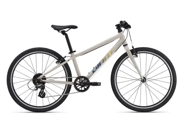 Giant ARX 24 kids' bike Mushroom