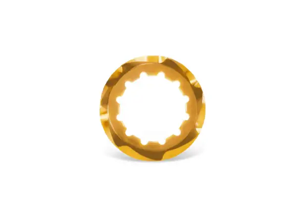 Garbaruk cassette lockring Shimano MicroSpline Gold