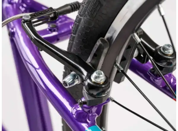 Academy Grade 5 Belt children's bike 24" purple
