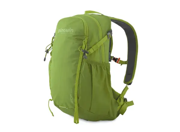 Pinguin Ride 19 backpack green