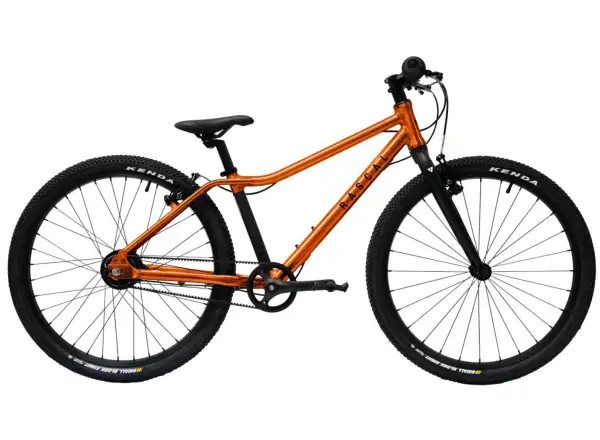 Rascal 24 5 sp. Sturmey Archer children's bike Flame